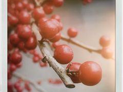 -明谦·Coffee&Cocktail Bar(美您公园店)