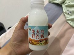 骆驼奶-蒙醇鲜酿酸奶