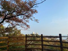-青岛海滨风景区小鱼山