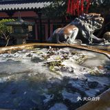 姑苏城的寒山寺