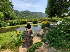 -中国茶叶博物馆(双峰馆区)