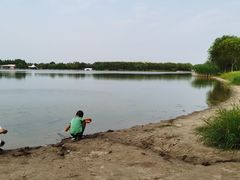 -大兴滨河森林公园