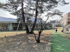 -金泽21世纪美术馆