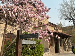 -静园(和平区)