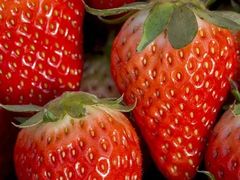 -西郊国际农产品交易中心