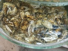 -叶存利海鲜大馅饺子(东戴河止锚湾店)