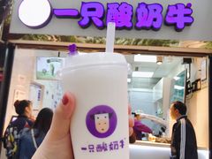 -一只酸奶牛(八一路店)