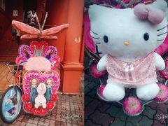 -荷兰红屋