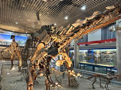 -国家自然博物馆