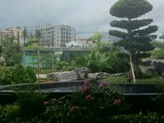 android_upload_pic-三亚凤凰水城凯莱度假酒店