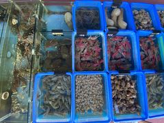 -七鲜渔港美食餐厅(巽寮湾海景店)