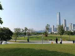-深圳人才公园