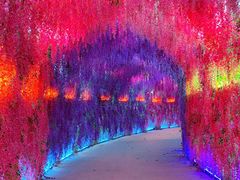 -歌斐颂巧克力小镇