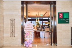 -派对猴生日派对策划