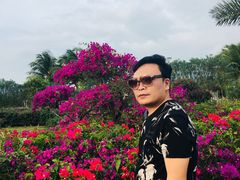 -亚龙湾国际玫瑰谷
