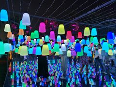 -勐巴拉娜西大剧院