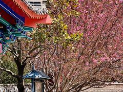 -石岛赤山风景区