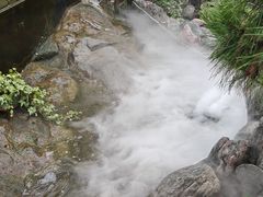 -蘇河湾·新鲁菜·泰山宴(泰山店)