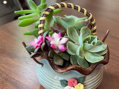 -Fridi Patisserie Cafe