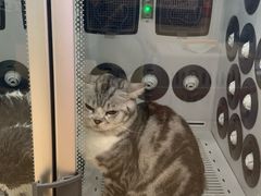 -芭比堂爱心动物医院·心脏科·犬猫内科(越城可乐分院)