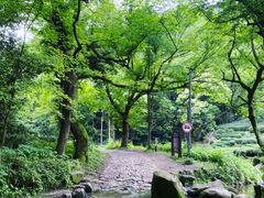 -香积寺