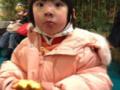 -成都驻京办餐厅(蜀都宾馆店)