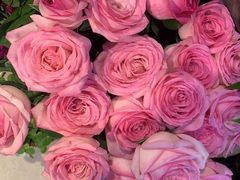 -爱尚花坊(大林路店)