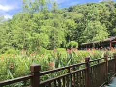 -重庆彩云湖湿地公园