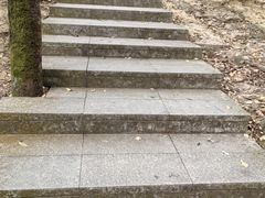 -火炉山森林公园