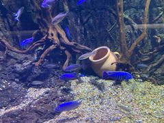 -华夏文旅海洋公园