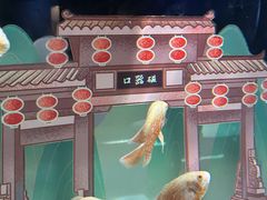 -重庆欢乐海底世界