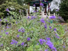 -滨河世纪广场公园