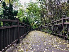 -南山健身公园