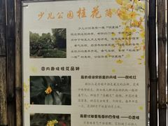 -杭州少年儿童公园
