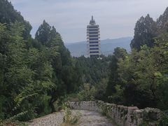 -原山国家森林公园