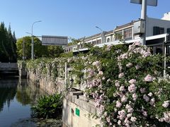 -昆山城市生态森林公园