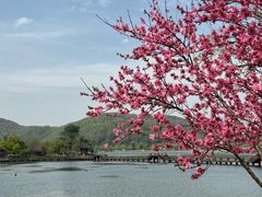 -南北湖风景区