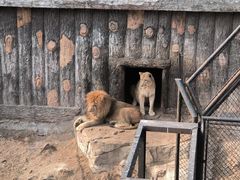 -大连森林动物园