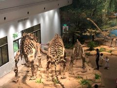 -自贡恐龙博物馆