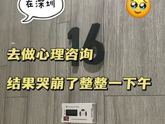 -桥恩心理咨询国际连锁(南山总店)