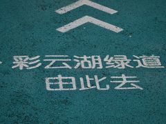 -重庆彩云湖湿地公园