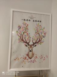 点击看大图 -紫琪尔·胸部养护护理