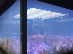 -江宁织造博物馆