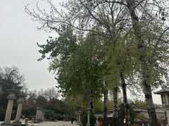 -大慈恩寺(大雁塔)