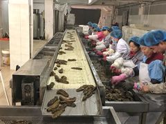 -老尹家海参·海参伴面(阿里山路店)