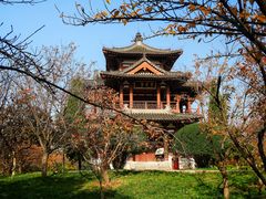 -西安青龙寺遗址景区