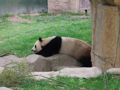-上海野生动物园