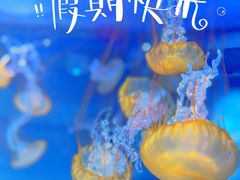 -上海海昌海洋公园