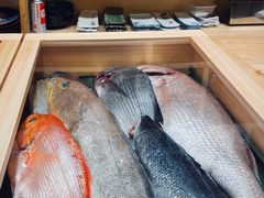 -镹·鱼料理  国产鱼使用店