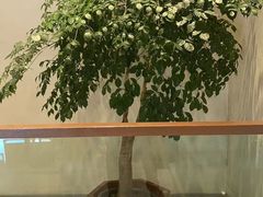 -东宴(温岭店)
